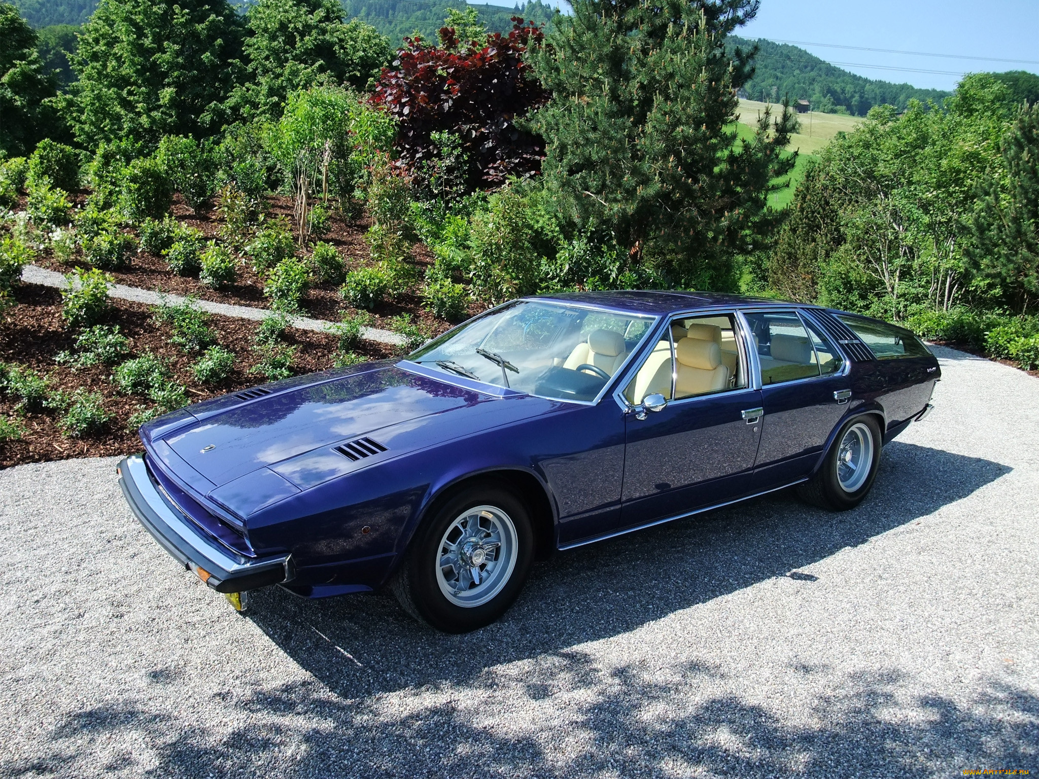 , lamborghini